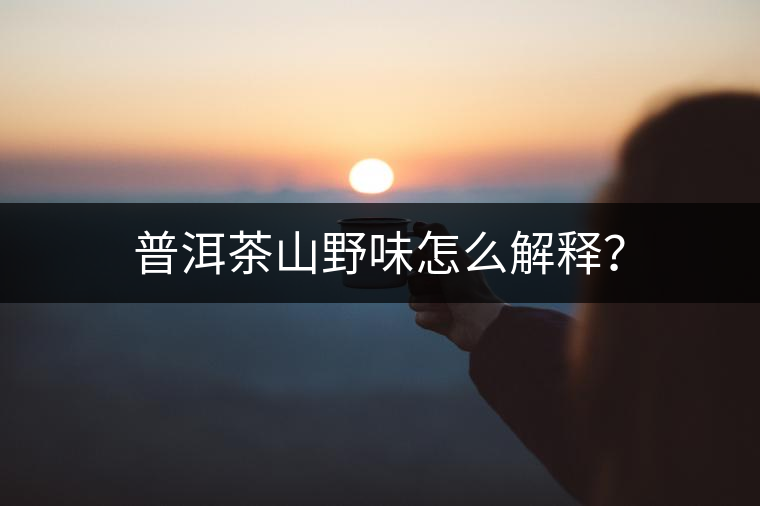 普洱茶山野味怎么解釋？