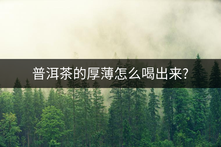 普洱茶的厚薄怎么喝出來? 普洱茶的厚薄怎么喝出來?