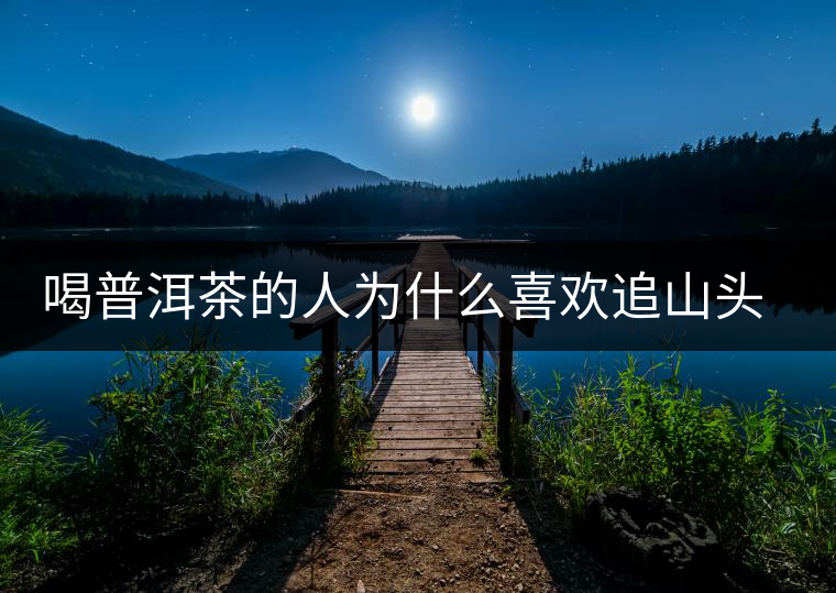 喝普洱茶的人為什么喜歡追山頭？無非就是這幾個原因