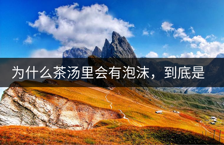 為什么茶湯里會(huì)有泡沫，到底是怎么回事？