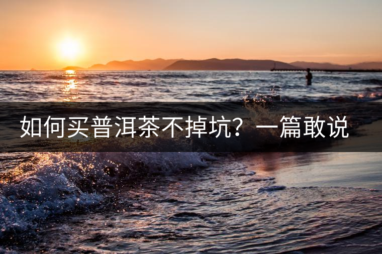 如何買(mǎi)普洱茶不掉坑？一篇敢說(shuō)真話的良心之作。