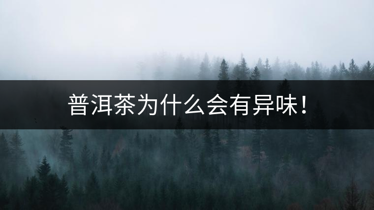 普洱茶為什么會有異味！