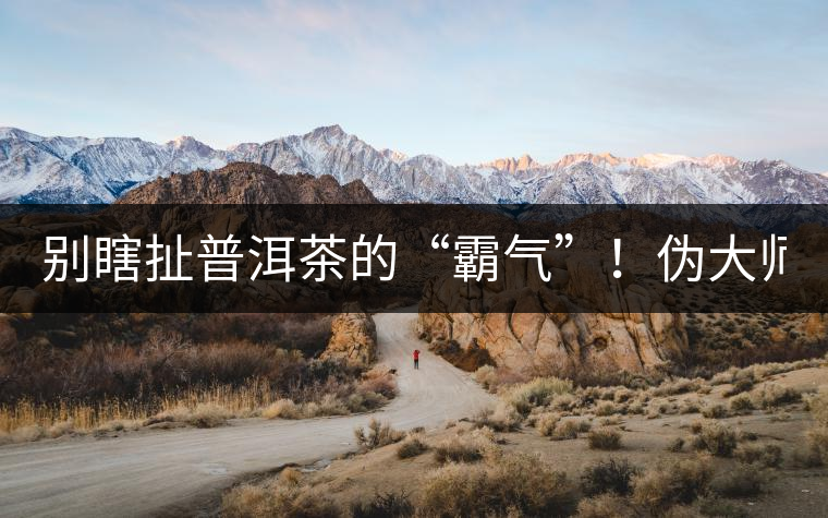 別瞎扯普洱茶的“霸氣”！偽大師！