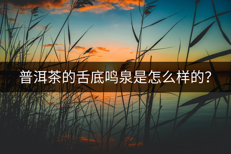 普洱茶的舌底鳴泉是怎么樣的？