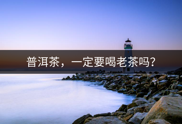 普洱茶，一定要喝老茶嗎？