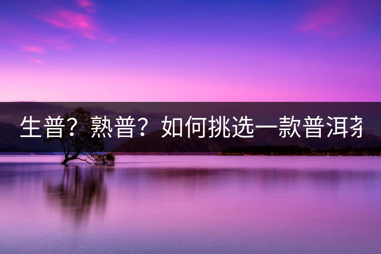 生普？熟普？如何挑選一款普洱茶？