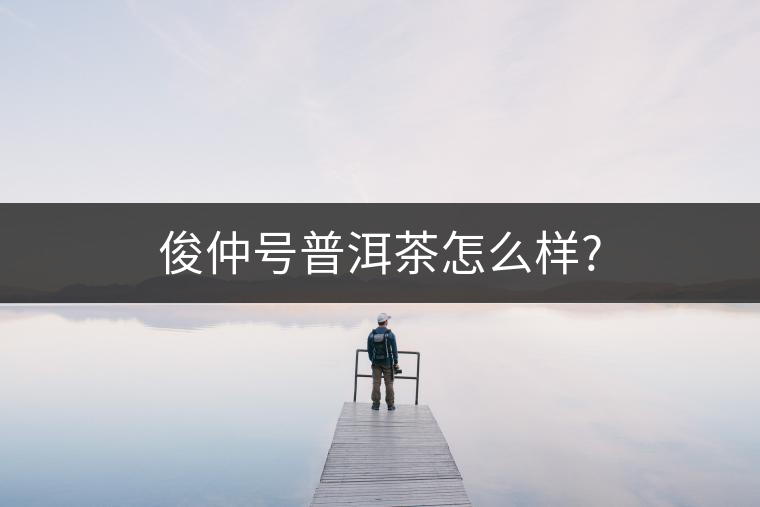 俊仲號(hào)普洱茶怎么樣?