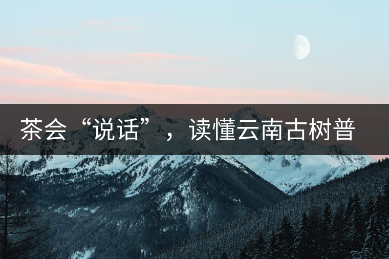 茶會(huì)“說(shuō)話”，讀懂云南古樹(shù)普洱茶的秘訣
