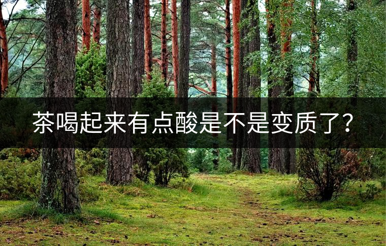 茶喝起來有點酸是不是變質了？