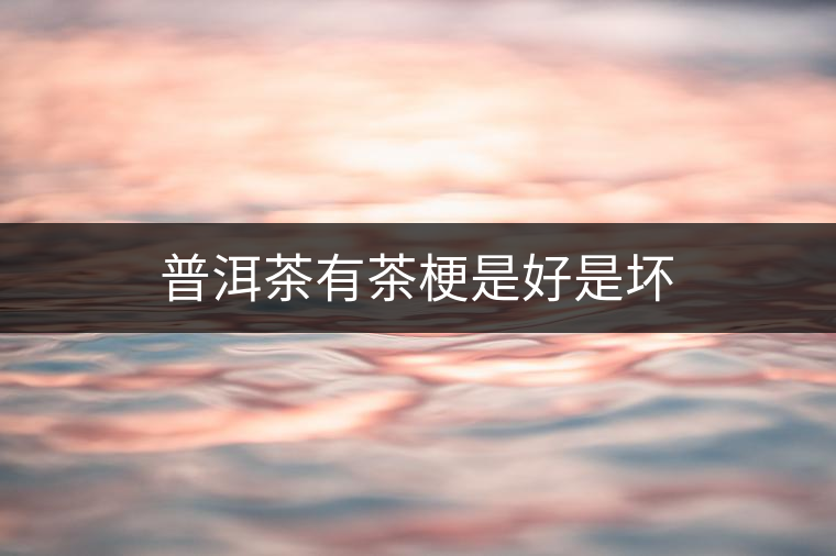 普洱茶有茶梗是好是壞 普洱茶有茶梗是好是壞