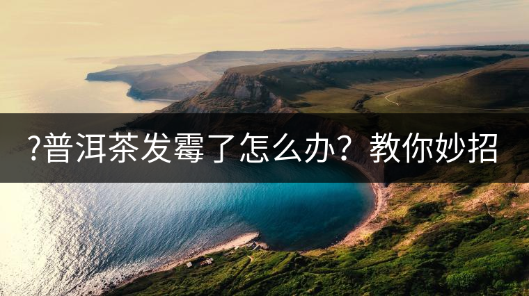 ?普洱茶發(fā)霉了怎么辦？教你妙招應對發(fā)霉的普洱茶！