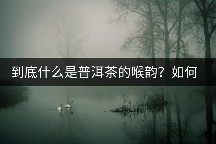 到底什么是普洱茶的喉韻？如何感受？