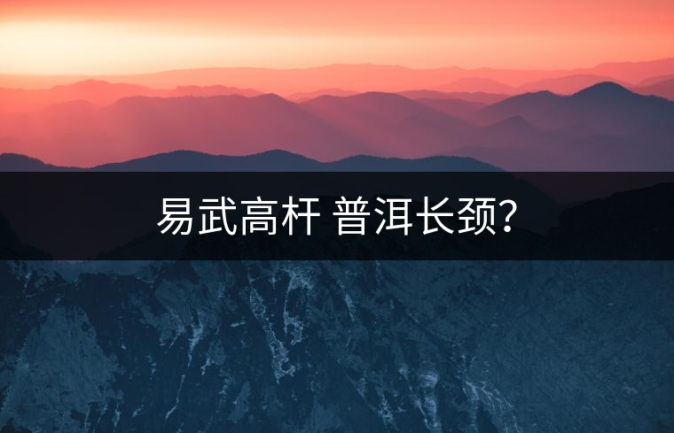 易武高桿 普洱長(zhǎng)頸？