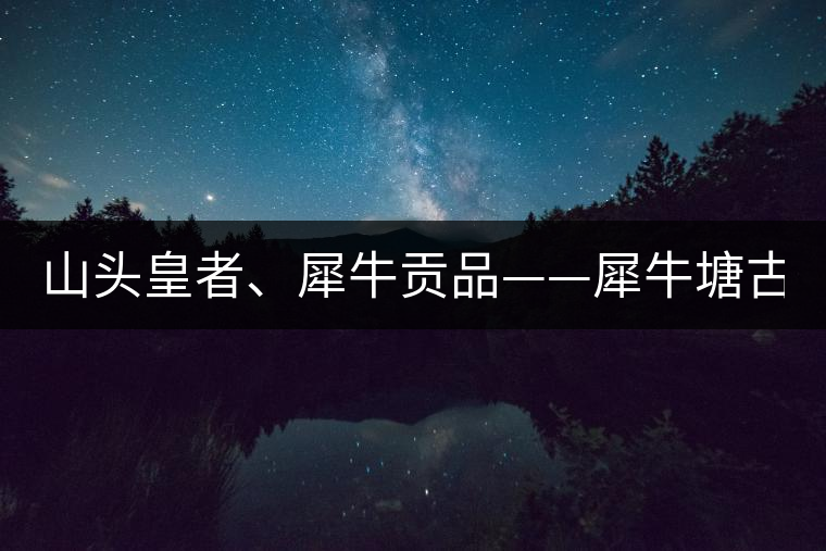 山頭皇者、犀牛貢品——犀牛塘古樹茶！