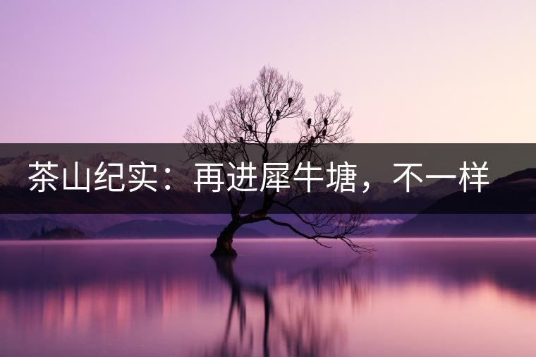 茶山紀(jì)實：再進(jìn)犀牛塘，不一樣的感覺；菁瑤可以預(yù)見的豐收年