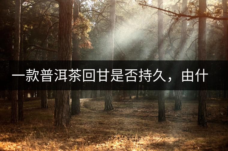 一款普洱茶回甘是否持久，由什么決定？