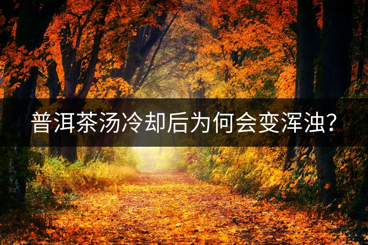 普洱茶湯冷卻后為何會(huì)變渾濁？