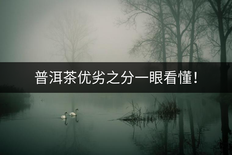 普洱茶優(yōu)劣之分一眼看懂！