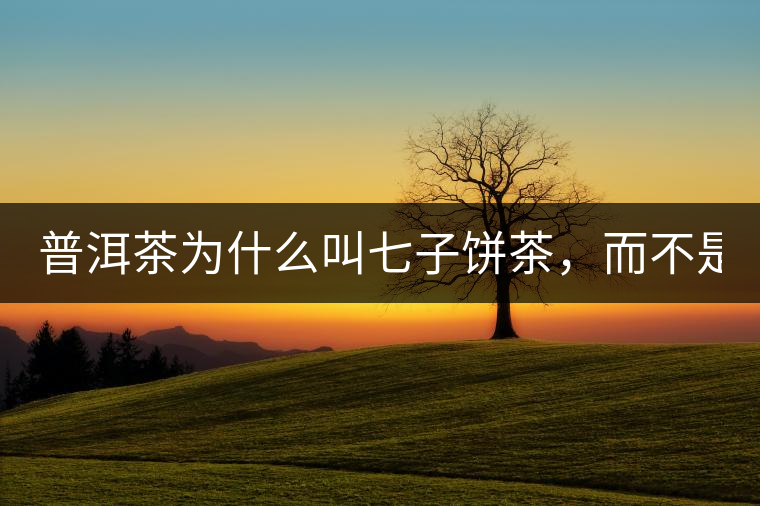 普洱茶為什么叫七子餅茶，而不是六子餅、八子餅......？