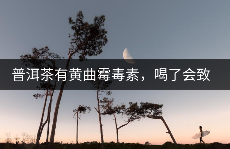 普洱茶有黃曲霉毒素，喝了會致癌？不黑不吹，咱用事實(shí)說話