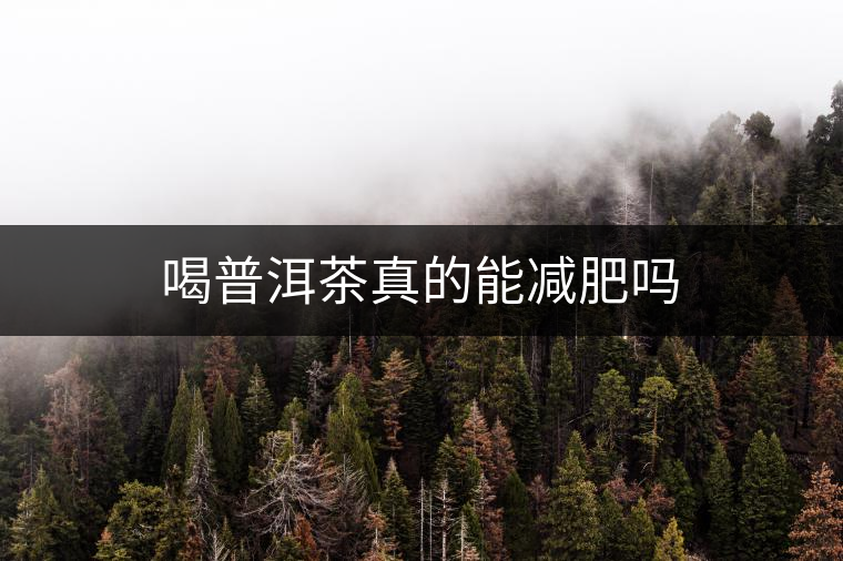 喝普洱茶真的能減肥嗎 喝普洱茶真的能減肥嗎