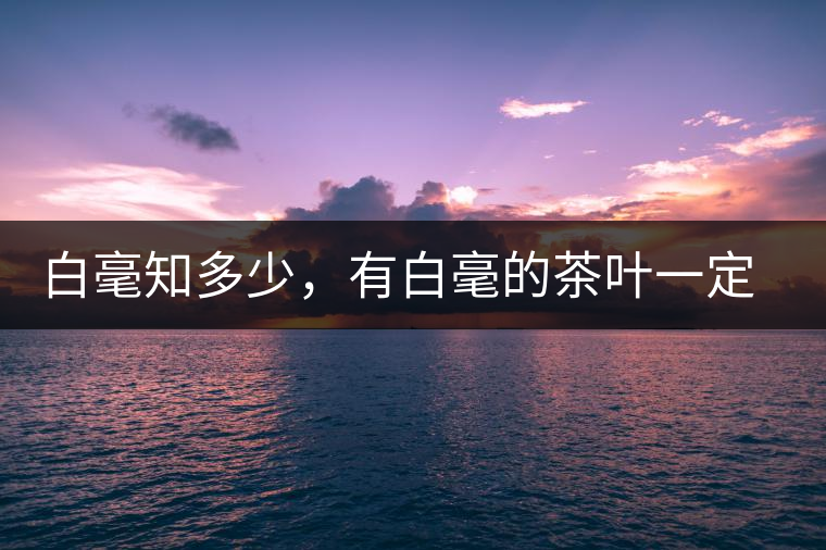 白毫知多少，有白毫的茶葉一定好嗎？