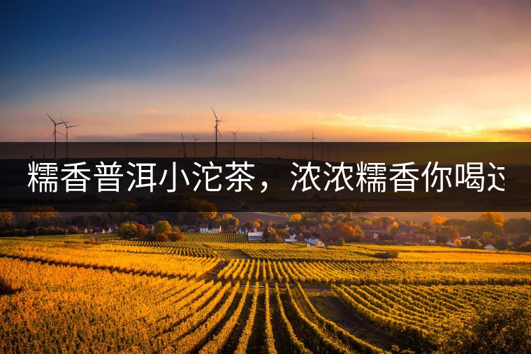 糯香普洱小沱茶，濃濃糯香你喝過嗎？