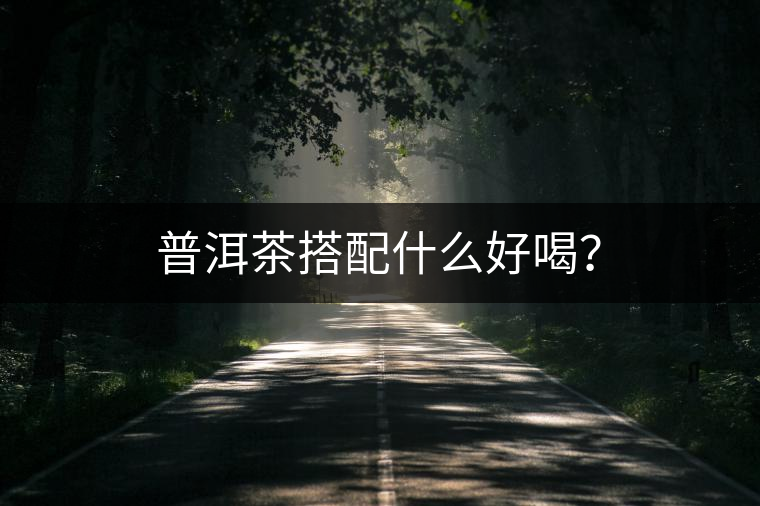 普洱茶搭配什么好喝？