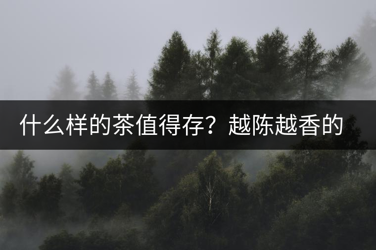 什么樣的茶值得存？越陳越香的本質(zhì)是什么？