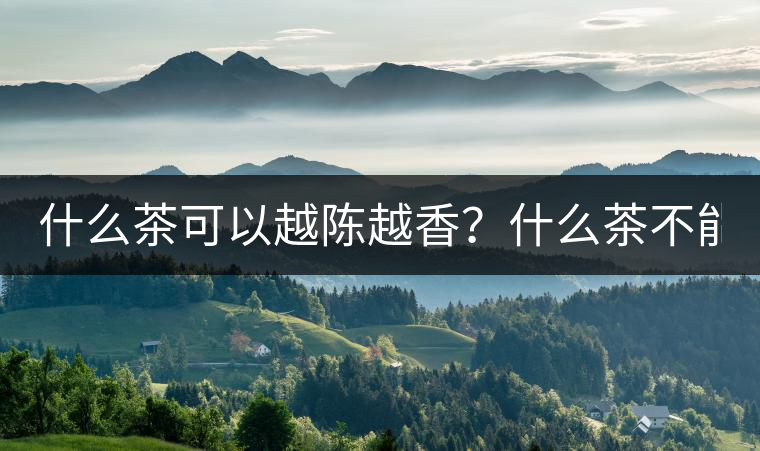 什么茶可以越陳越香？什么茶不能？