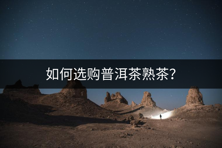如何選購普洱茶熟茶？