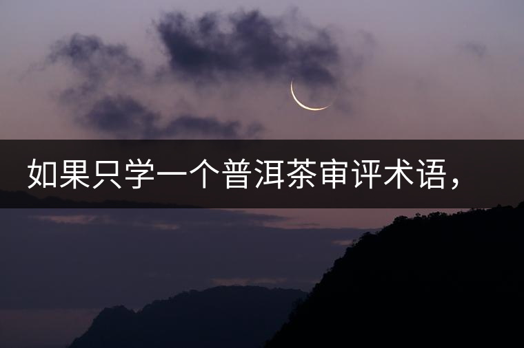 如果只學(xué)一個(gè)普洱茶審評(píng)術(shù)語(yǔ)，那應(yīng)該是什么？