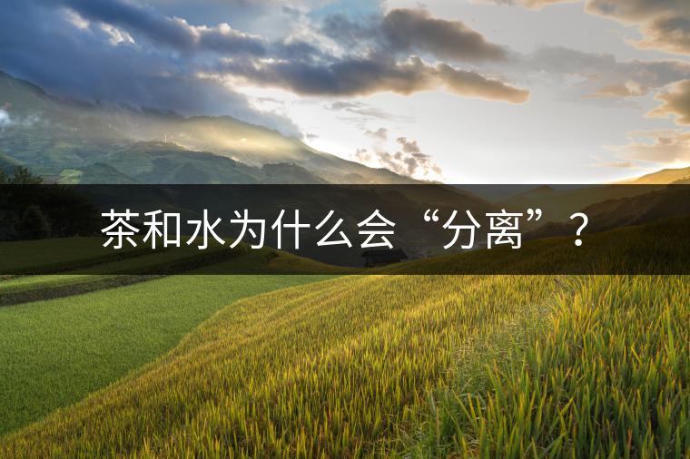 茶和水為什么會“分離”？