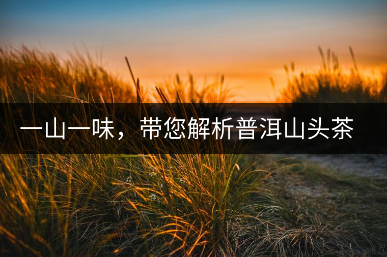 一山一味，帶您解析普洱山頭茶的密碼究竟是什么？