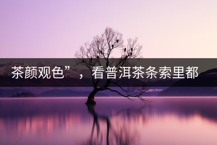 茶顏觀色”，看普洱茶條索里都蘊(yùn)含著怎樣的“密碼”？