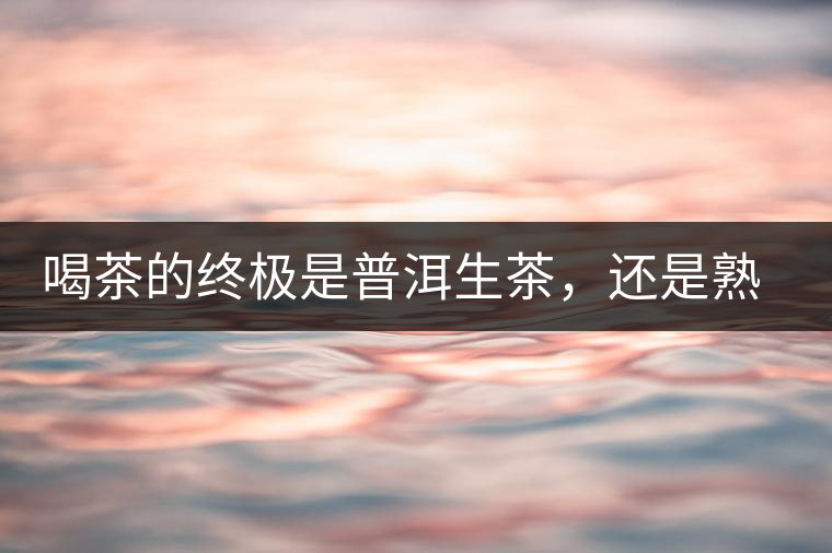 喝茶的終極是普洱生茶，還是熟茶？