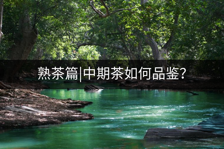 熟茶篇|中期茶如何品鑒？