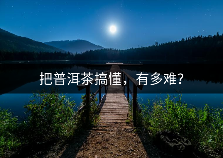 把普洱茶搞懂，有多難？