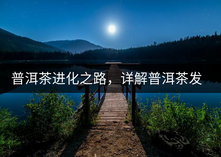 普洱茶進(jìn)化之路,詳解普洱茶發(fā)展的三大重要階段 普洱茶進(jìn)化之路,詳解普洱茶發(fā)展的三大重要階段