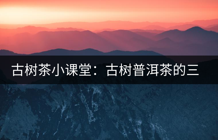古樹(shù)茶小課堂:古樹(shù)普洱茶的三大價(jià)值 古樹(shù)茶小課堂:古樹(shù)普洱茶的三大價(jià)值