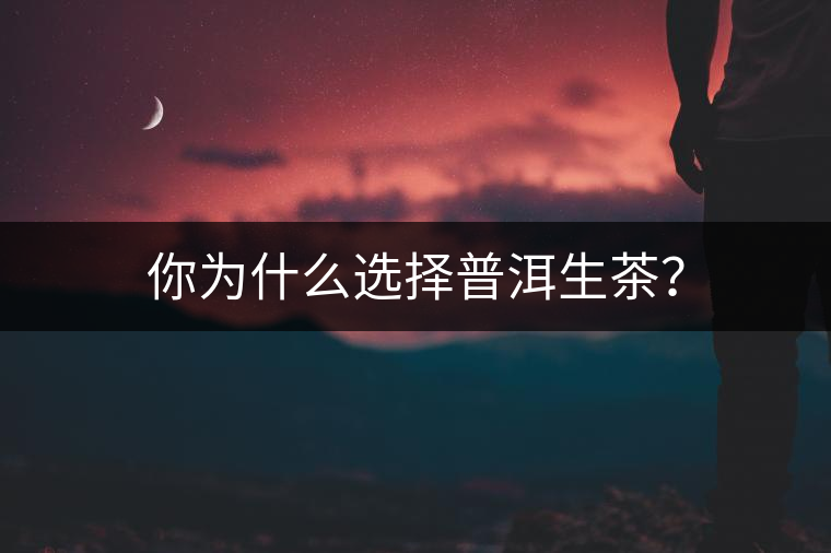 你為什么選擇普洱生茶？