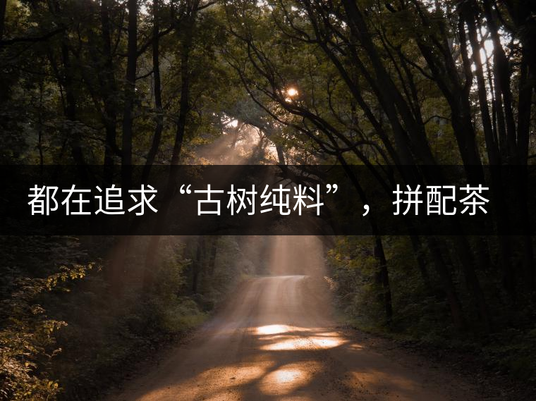 都在追求“古樹純料”，拼配茶真的不如純料的？