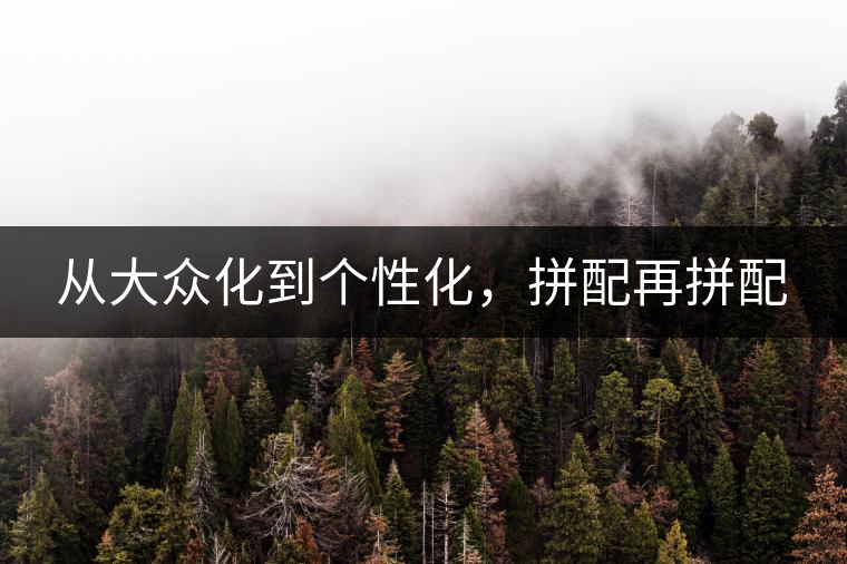 從大眾化到個(gè)性化，拼配再拼配