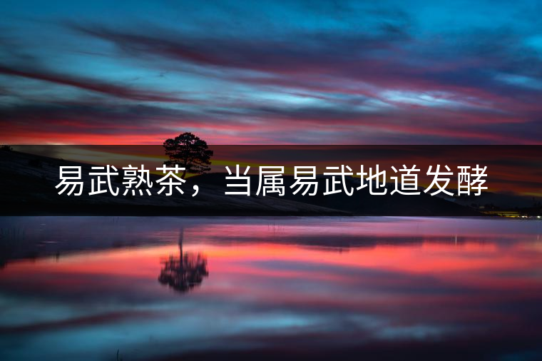 易武熟茶，當(dāng)屬易武地道發(fā)酵