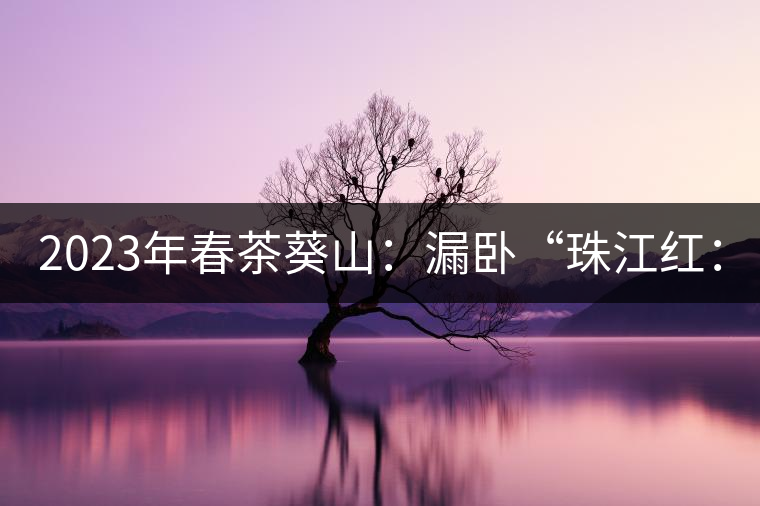 2023年春茶葵山：漏臥“珠江紅：1200元-3200元（有3個檔次）漏臥“大廠茶”：古樹單株8600-9000元／公斤，中樹4800-5200元／公斤，小樹混采2600-2800元／公斤。