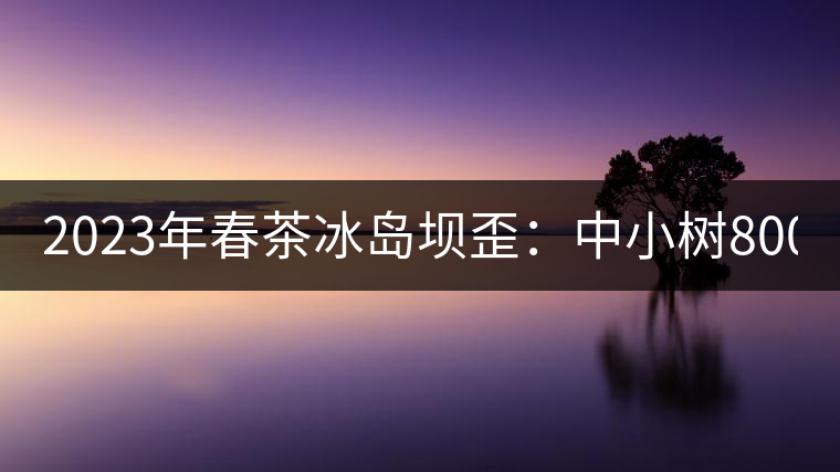 2023年春茶冰島壩歪：中小樹800元／公斤，古樹1400-1600元／公斤