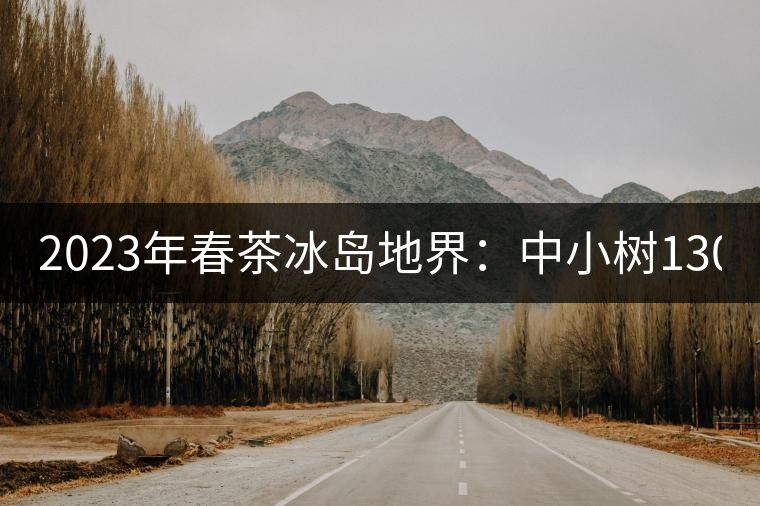 2023年春茶冰島地界：中小樹1300-1500元／公斤，古樹2200~2500元／公斤