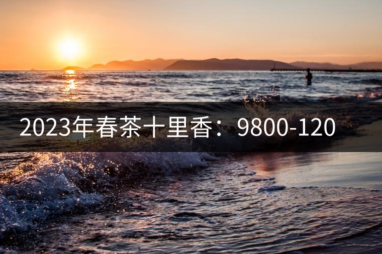2023年春茶十里香：9800-12000元／公斤，十里香紅茶：9800-12000元／公斤