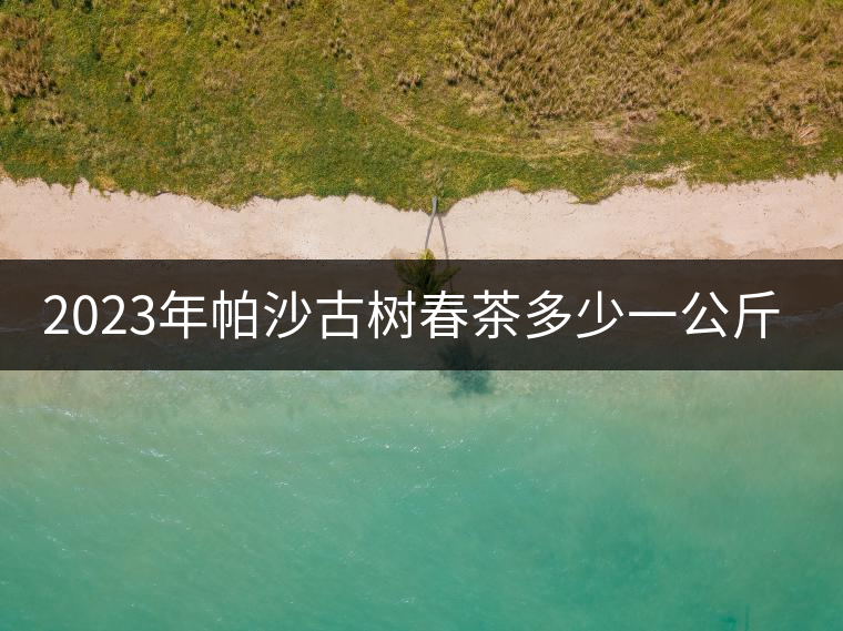 2023年帕沙古樹(shù)春茶多少一公斤？