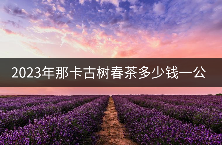 2023年那卡古樹春茶多少錢一公斤？
